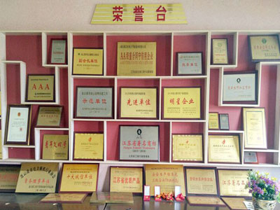 專業的鋼鐵經營模式